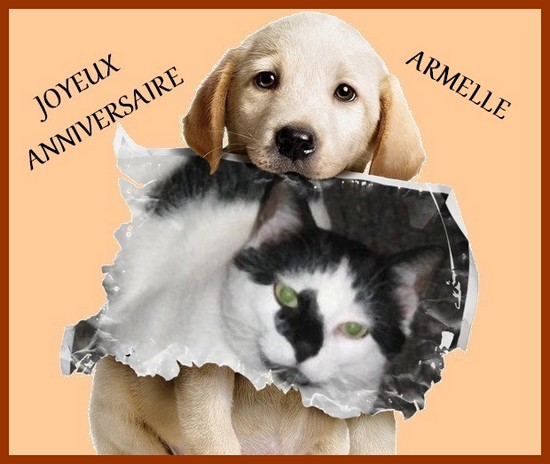 ARMEEELLE ! Choco10