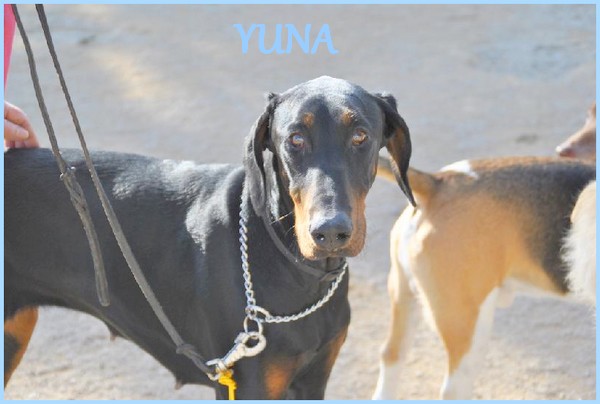 YUNA l'espagnole ... Yuna_o12