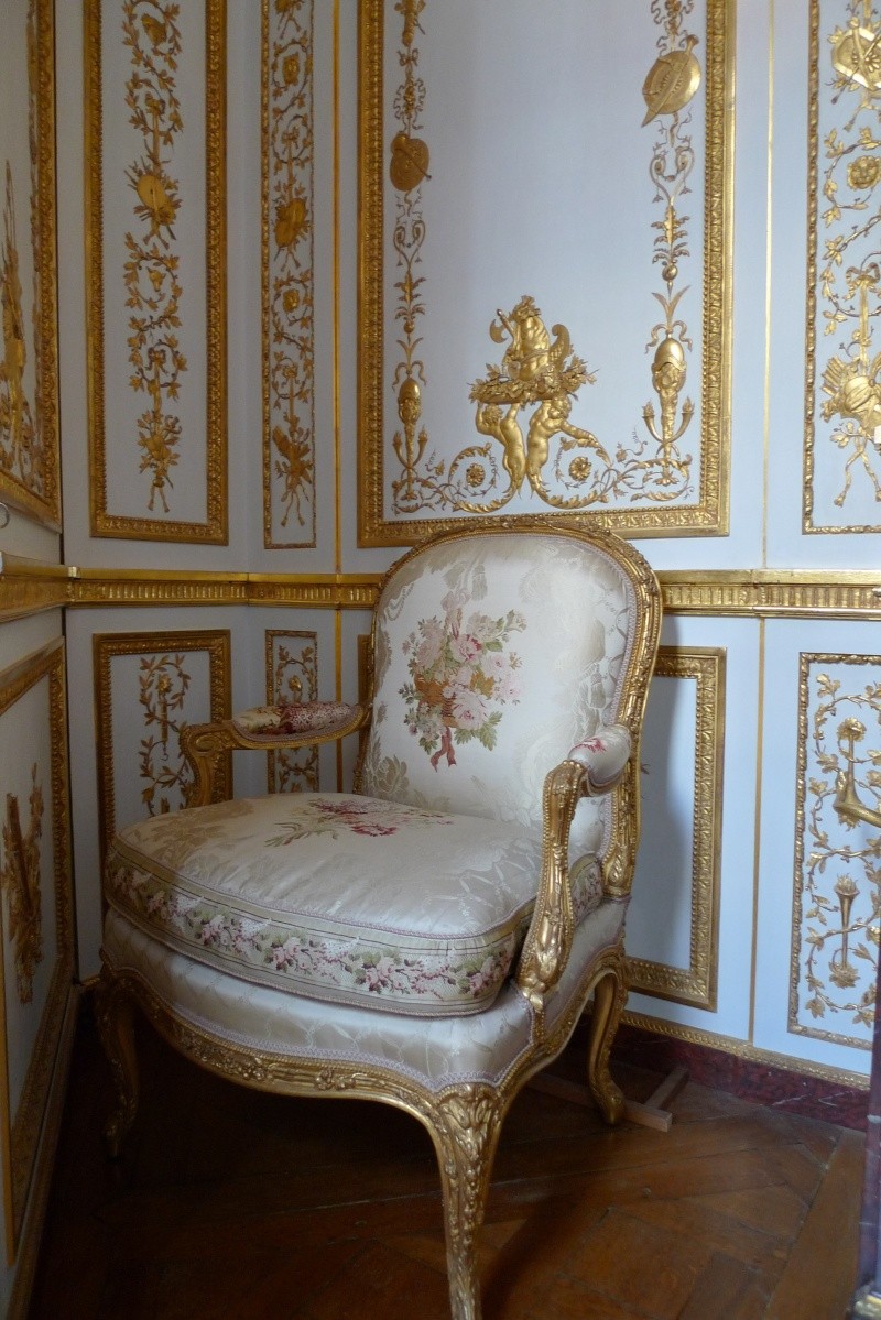 Restauration du cabinet de la garde-robe de Louis XVI - Page 2 P1120627