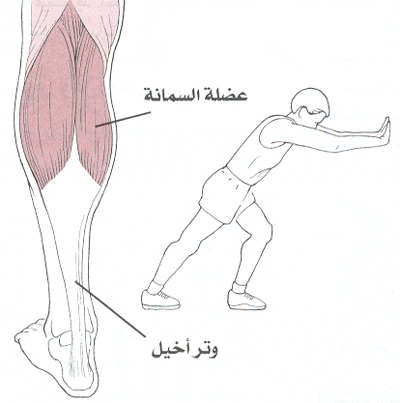 الشد العضلي بالساق(نظرة شاملة على جميع الحالات) Teams_15