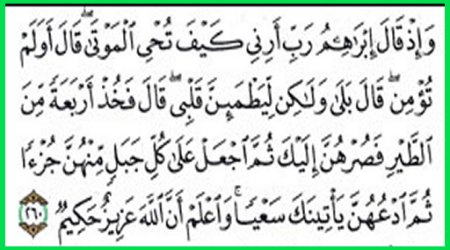 وَإِذْ قَالَ إِبْرَاهِيمُ رَبِّ أَرِنِي كَيْفَ تُحْيِـي الْمَوْتَى 16081516