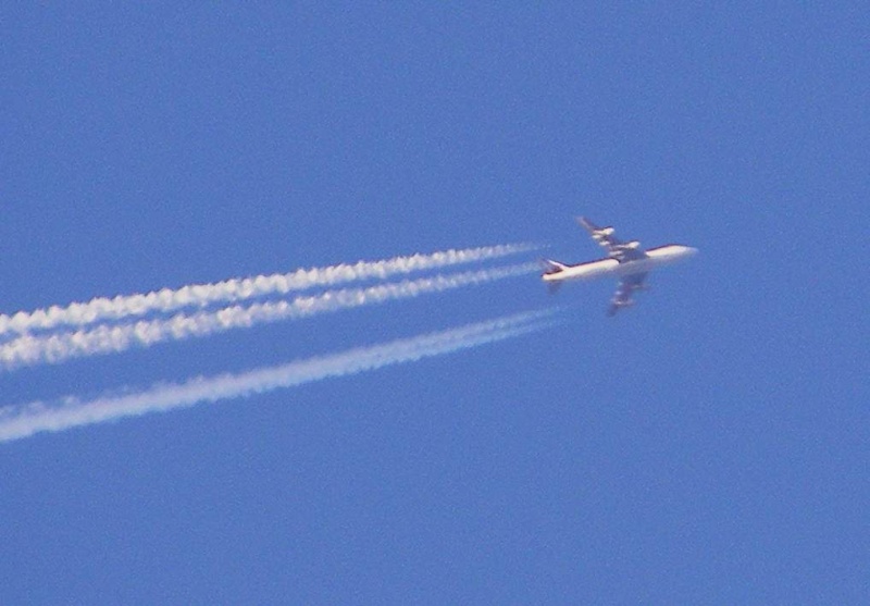 Constanta - aeronave in zbor C2008_10