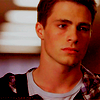 Colton Haynes Image503