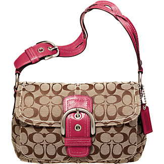 nice coach bags 11862_10