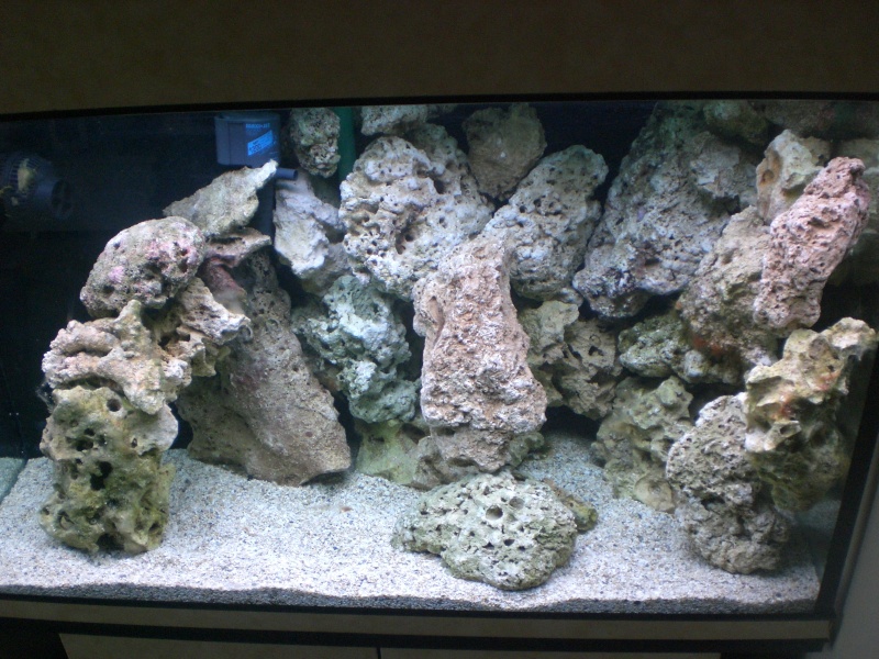 aquarium  olivette Fevrie15