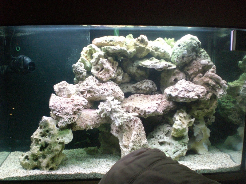 aquarium  olivette Fevrie16
