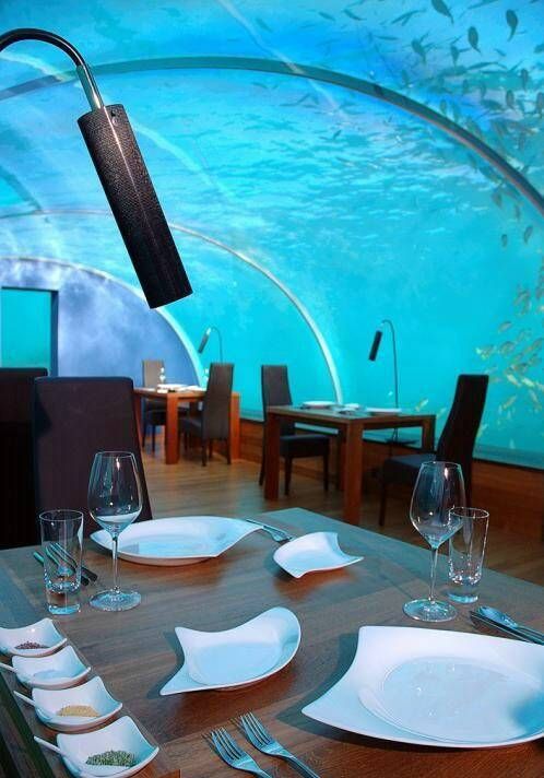 مطعم تحت الماء  ولا في الاحلام  لن يفوتك 210