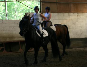 "oefendressuurwedstrijd"/concours de dressage Dorsti10