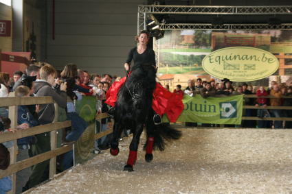 Foto's van op Flanders Horse Expo(FHE)/Photo's de FHE Kirov610
