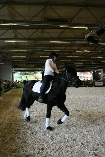 Foto's van op Flanders Horse Expo(FHE)/Photo's de FHE Laure310