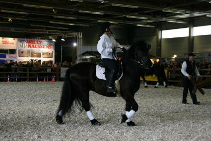 Foto's van op Flanders Horse Expo(FHE)/Photo's de FHE Patric10