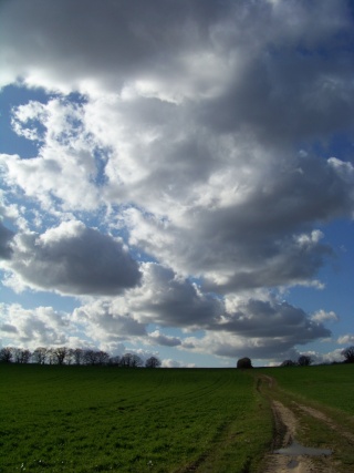 Quelques photos qui n'attendent que vos critiques... Idem111