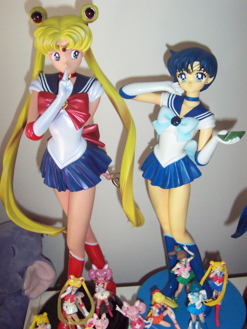 Sailor Moon de usako13004 100_3813