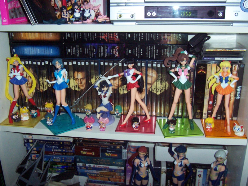 Sailor Moon de usako13004 100_3814