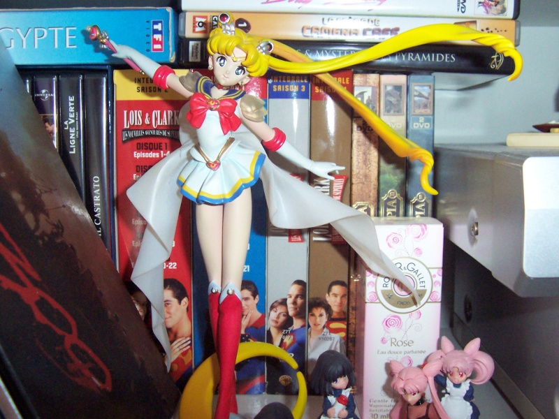 Sailor Moon de usako13004 100_3815
