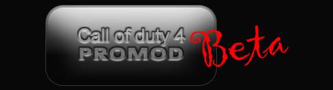 Call of Duty4 Modern Warfare & modes & DOWNLOAD Foto_p10