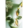 [Murakami, Haruki] Kafka sur le rivage 41zbad10
