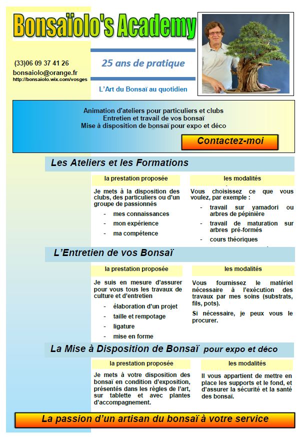 mise en place de sites - Page 2 Flyer_12