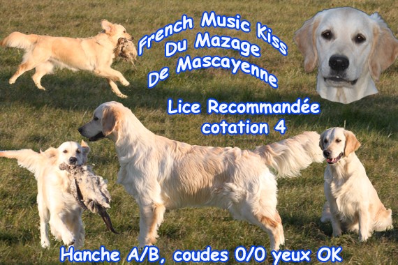 LICES RECOMMANDEES-ELITE A du mazage de mascayenne Kissmo11