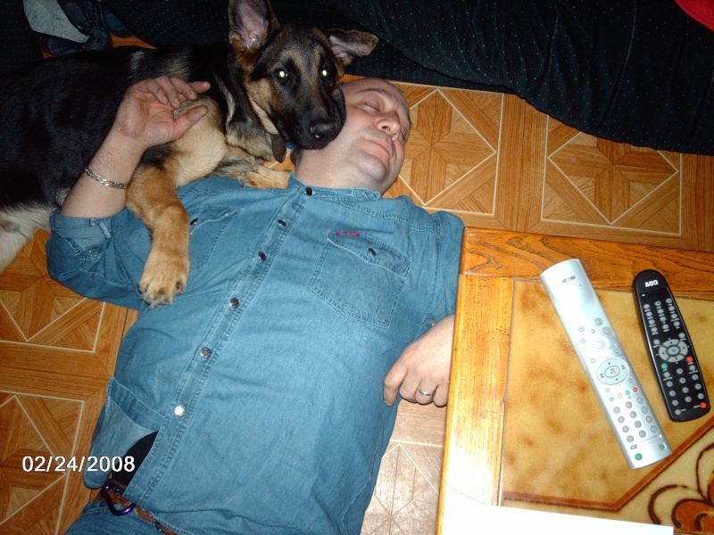 vos chiens et la sieste !!! - Page 3 Imag1512