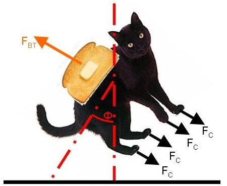 Loi de murphy Cat-dd10