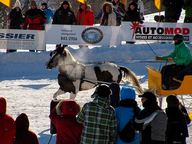 Le Derby St-Hubert 2012!!! Img_1821