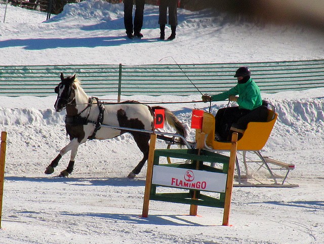 Le Derby St-Hubert 2012!!! Img_1822