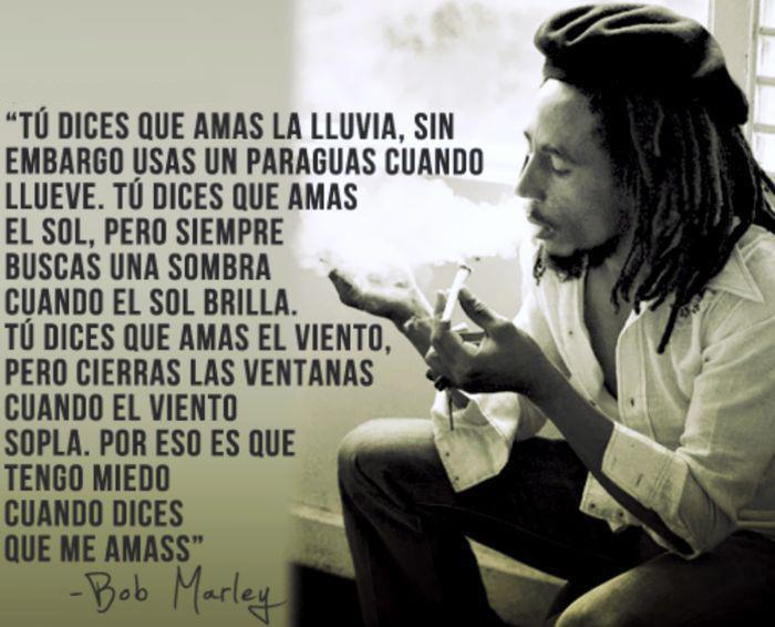 reflexion de bob marley 40046910