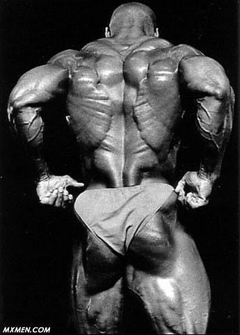 Ronnie Coleman - Page 3 11294910