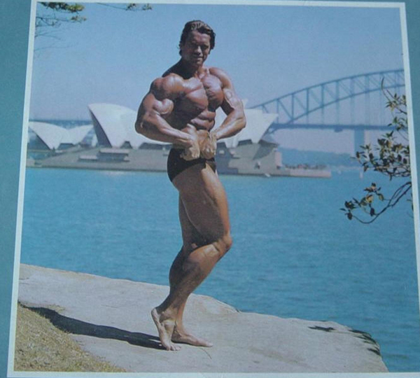 Arnold Schwarzenegger - Page 4 12116010