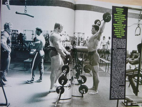 Arnold Schwarzenegger - Page 4 12117018