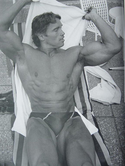 Arnold Schwarzenegger - Page 4 12118010