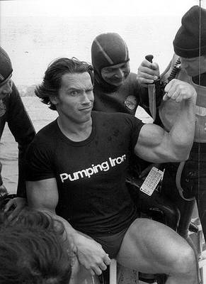 Arnold Schwarzenegger - Page 3 42288m10