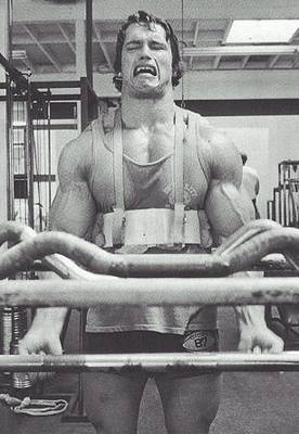 Arnold Schwarzenegger - Page 3 61090m10