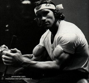 Arnold Schwarzenegger - Page 3 61090m11