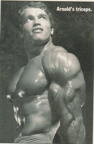 Arnold Schwarzenegger - Page 3 Ar50110