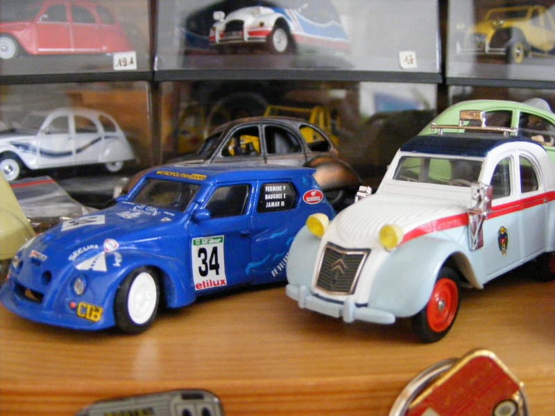 Ma petites collection de miniatures pour les amateurs Dscf0012