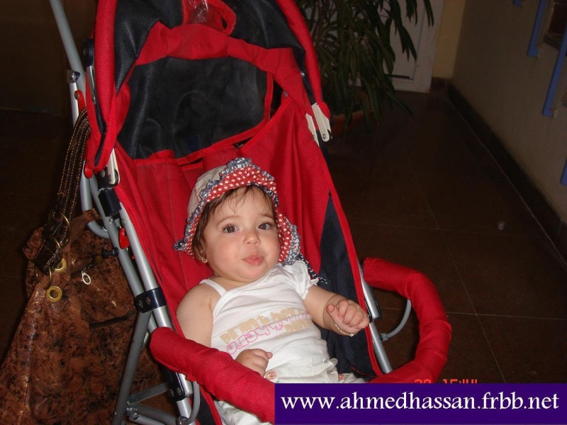 صور احمد حسن وزوجته واولاده