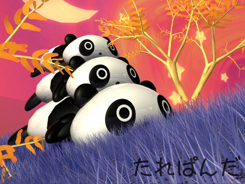 Panda ... :x:x:x Tare_p10