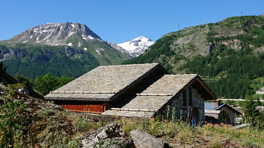 L'Alpage de la Davie depuis Le Chevril 00610