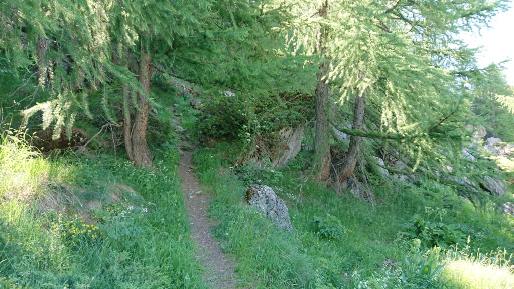 L'Alpage de la Davie depuis Le Chevril 01210