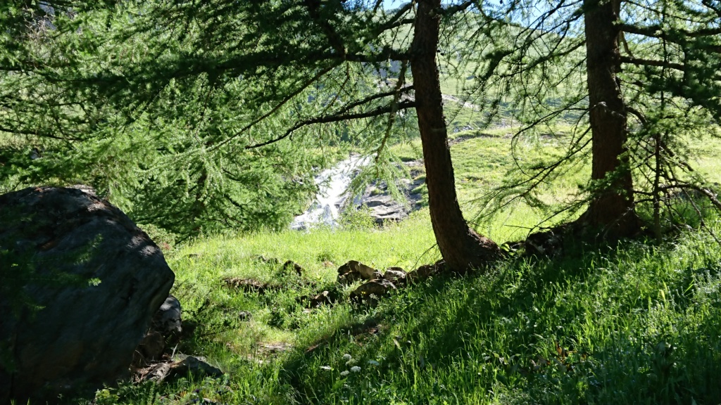 L'Alpage de la Davie depuis Le Chevril 01910