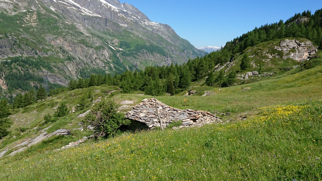 L'Alpage de la Davie depuis Le Chevril 02010