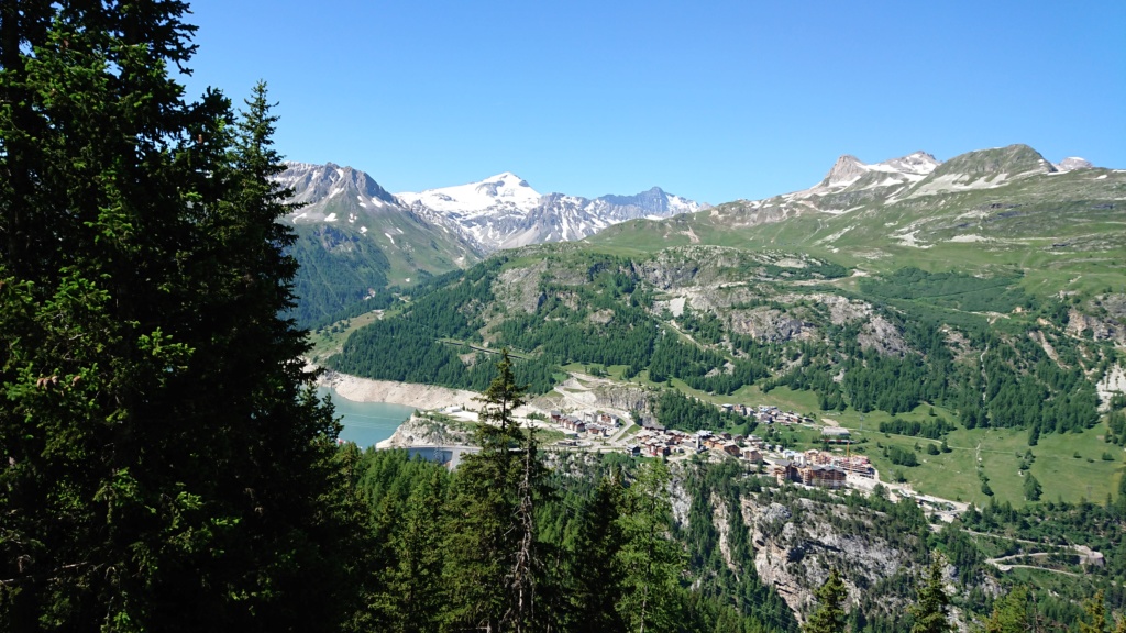 L'Alpage de la Davie depuis Le Chevril 02710