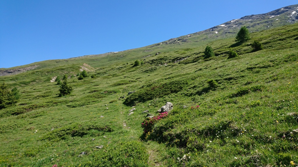 L'Alpage de la Davie depuis Le Chevril 03710