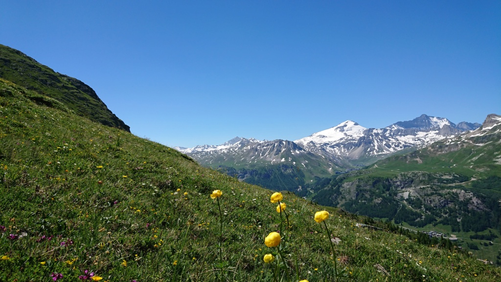 L'Alpage de la Davie depuis Le Chevril 04710