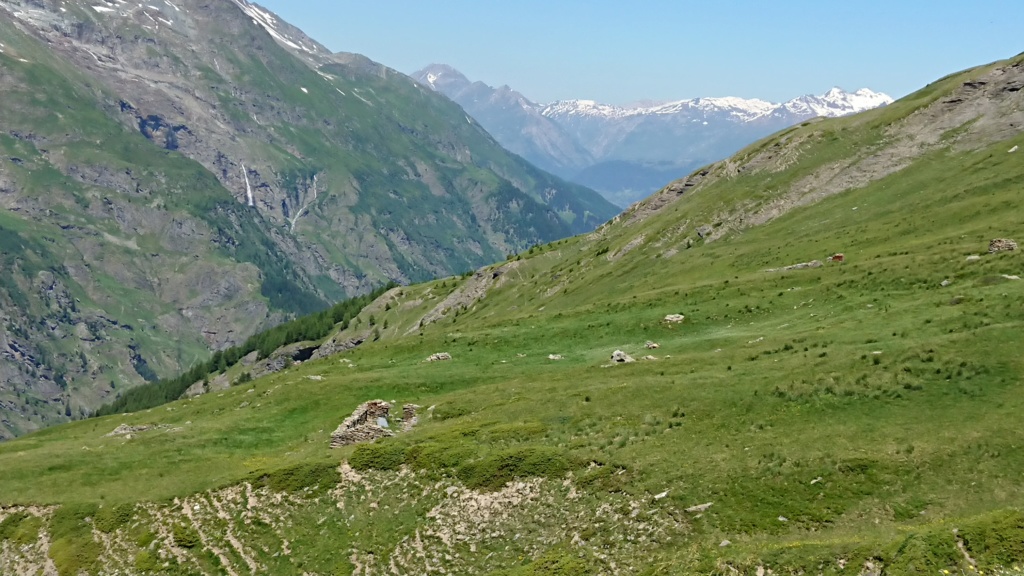 L'Alpage de la Davie depuis Le Chevril 04810