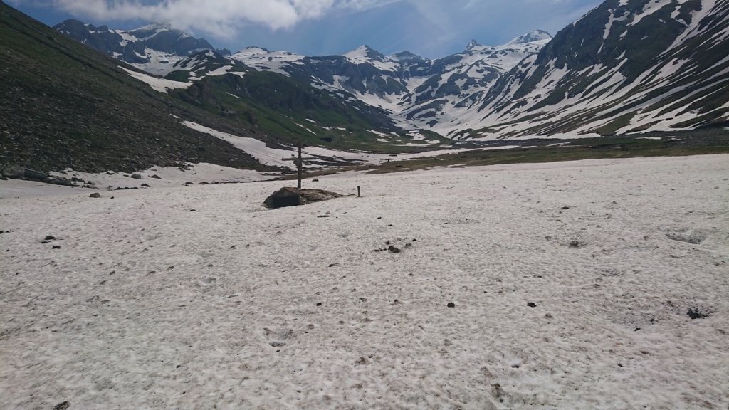 Conditions en direct été 2018 2018_019