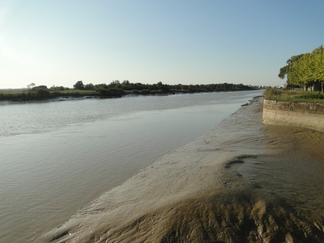 UNE CANNOISE EN CHARENTE MARITIME............ - Page 2 Chtes_48