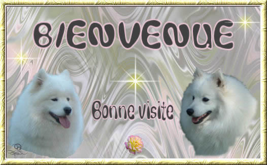 bienvenue a tous Bienve10